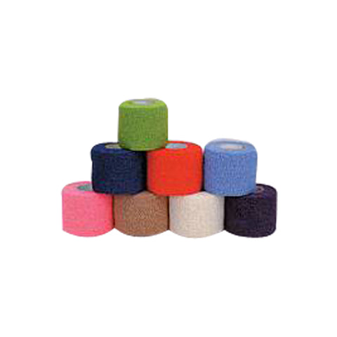 Cohesive Bandage Count of 1 by Andover Coated Products