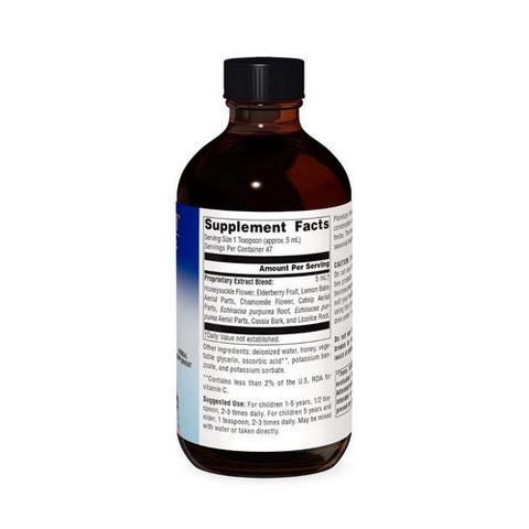 Planetary Herbals, Well Child Echinacea-Elderberry Syrup, 8 Fl Oz Planetary Herbals