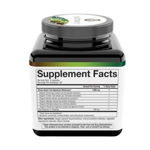 Youtheory, Mushroom Stress Complex, 60 Vegcaps Youtheory