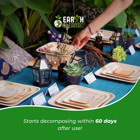 Earth Cleanse, Areca Palm Leaf Square Plates 10-Inch, Pack of 25 Earth Cleanse