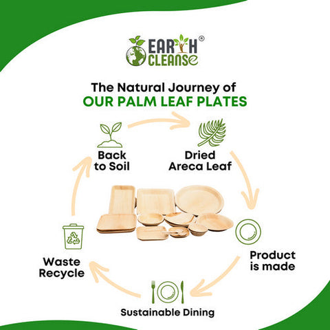 Earth Cleanse, Areca Palm Leaf Round Plates 10 Inches, Pack of 200 Earth Cleanse