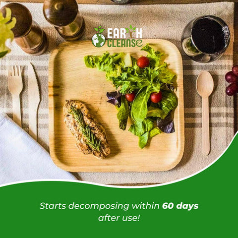 Earth Cleanse, Areca Palm Leaf Square Plates 7-Inch, Pack of 200 Earth Cleanse